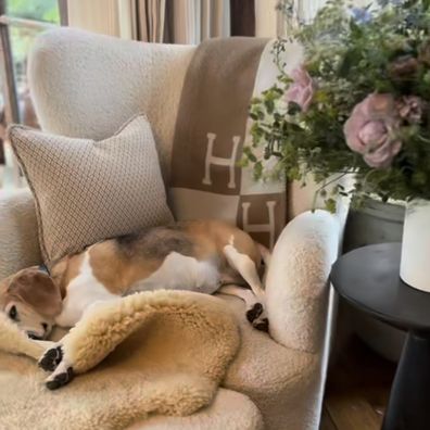 Meghan shares IG story of living room