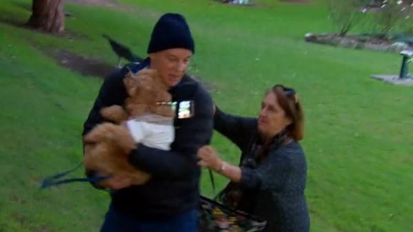 Dog Custody Battle Sees Man Snatch Pooch In Park