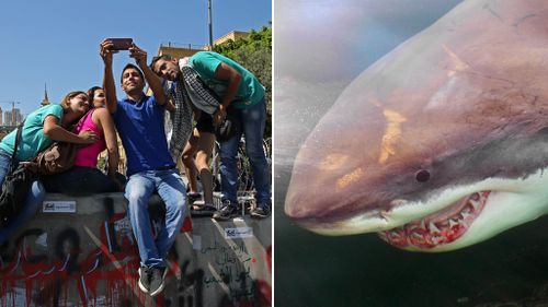Could selfies pose a bigger risk to your life than shark attacks?