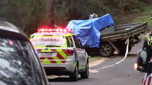 Police are investigating the circumstances of the crash. (9NEWS)