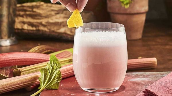 Warner&#x27;s Rhubarb Gin Sour