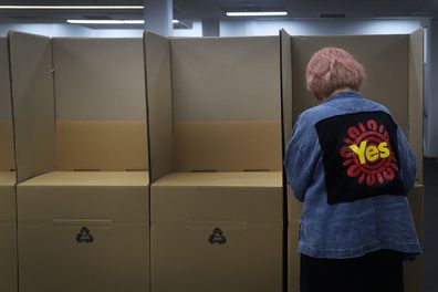 A member of the public casts their vote in the referendum