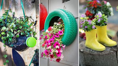 Household objects used as planters