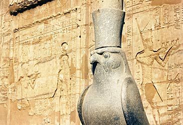 The Egyptian god Horus is depicted as which species of bird?