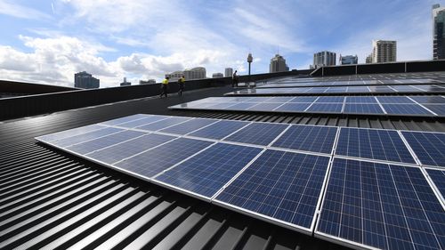 Solar panels with Sydney's Centrepoint Tower in the background.