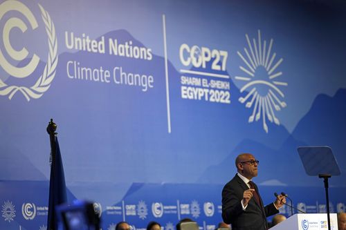 Simon Stiell, UN climate chief, speaks at an opening session at the COP27 UN Climate Summit. (AP Photo/Peter Dejong)