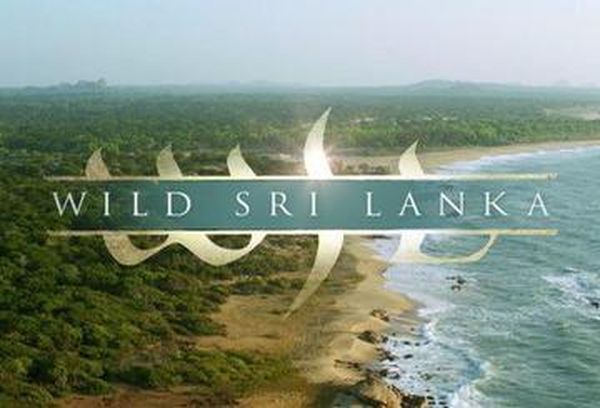 Wild Sri Lanka