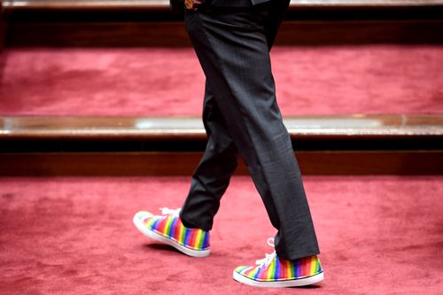 The Greens leader had some colourful footwear to celebrate the day. (AAP)