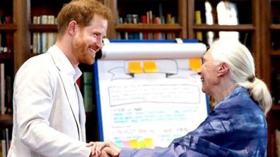 Prince Harry agrees to odd request from Dr Jane Goodall