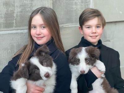Danish royal twins Prince Vincent and Princess Josephine share birthday portraits
