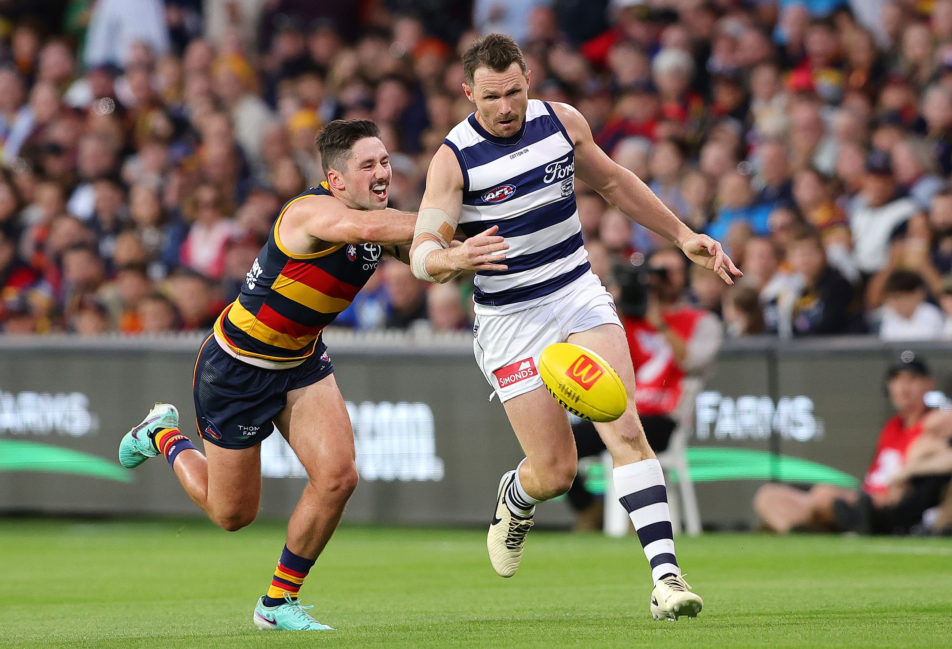 Truth behind reports that Patrick Dangerfield was considering a return to Adelaide Crows revealed