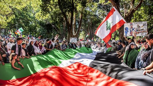 Demonstrators take to the streets of Sydney every Sunday.