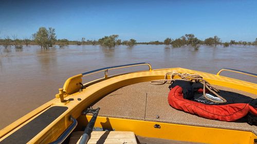 Windorah has received 8mm of rain since 9am. 