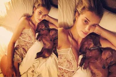 Insta-selfie award of the week goes to Rosie Huntington Whiteley. Without make-up and in a sexy negligee, it's fair to say we wish we looked like this last thing at night. The model-turned-actress captioned the snap, "Bedtime" as she snuggled with her two pet pooches. One question - where's Jason Statham? Perhaps taking the snap.