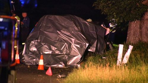Three people died when the SUV they were in hit a tree on the NSW mid-north coast.