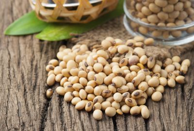 <strong>#1 Soybeans (36g of protein per 100g)</strong>