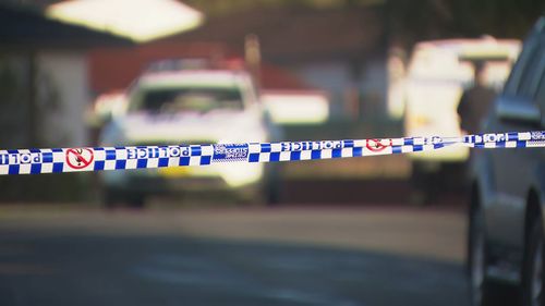 Uma menina de 13 anos instruiu o assassinato em uma vala fatal de menina de 14 anos na região de Nsw Lake Macquarie.
