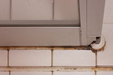 black mold on the tiles in the shower room