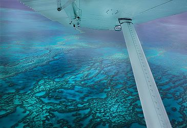 The Great Barrier Reef consists of what proportion of Earth's coral reef ecosystems?