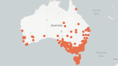 Bogone moths are found throughout southern Australia, typically along the east coast.