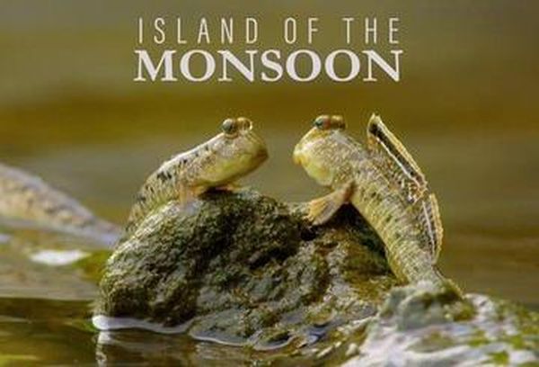 Island of the Monsoon