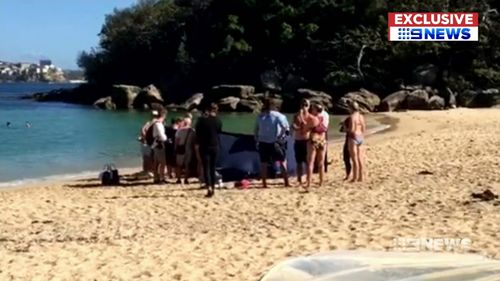 Beachgoers rushed to the aid of 65-year-old Wayne Southwell last month when he collapsed on Sydney's Shelly Beach (Supplied).