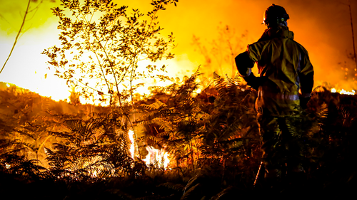 Les incendies de forêt font rage en France et en Espagne alors que l'Europe se flétrit sous une vague de chaleur inhabituellement extrême que les autorités de Madrid ont imputée à des centaines de morts.