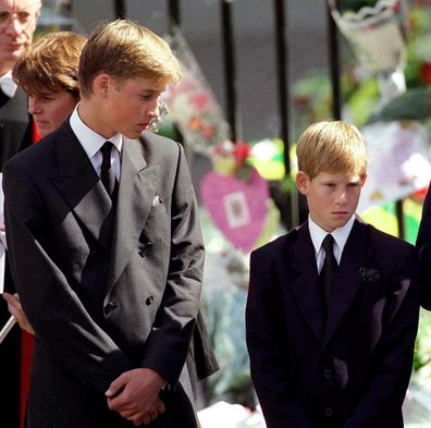 Prince William, Prince Harry