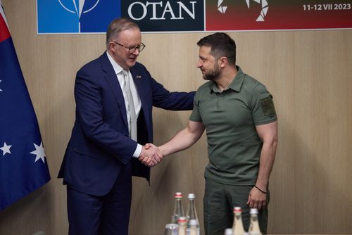 Ukraine's President Volodymyr Zelenskiy and Australia's Prime Minister Anthony Albanese shake hands before a meeting at the NATO Summit in Vilnius, Lithuania July 12, 2023.  