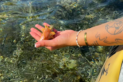 celebrity xcel cruise 9travel