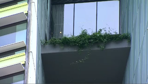 The vertical garden feature is believed to be the cause of the cracks in the damaged Opal Tower at Sydney Olympic Park.