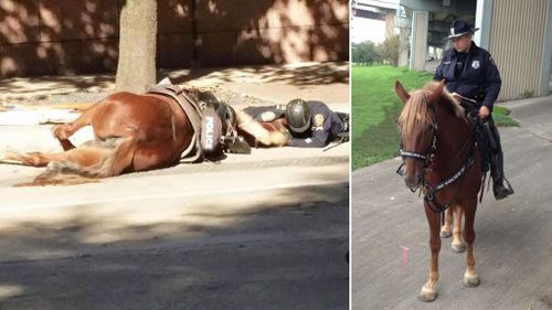 Officer's final moments with fallen police horse captured in emotional photo