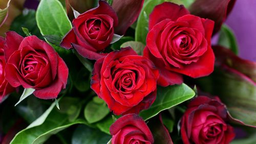 The experts say the more you spend on a bunch of flowers for Valentine's Day, the longer they should last (AAP).