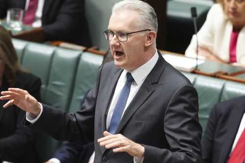 Minister for Home Affairs, Minister for Immigration and Multicultural Affairs, Minister for Cyber Security, Minister for the Arts and Leader of the House Tony Burke during Question Time at Parliament House in Canberra on Thursday 13 February 2025. fedpol Photo: Alex Ellinghausen