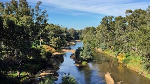 A man's body was pulled from the Lachlan River on Saturday. 