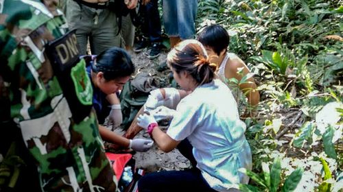Tourist attacked by crocodile in Thai national park 