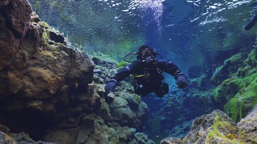 The site is proving one of the most popular dive spots in the world for good reason.