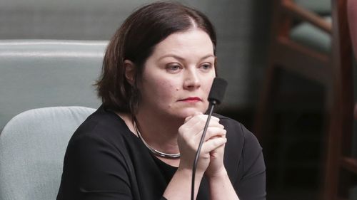 Labor MP Lisa Chesters.