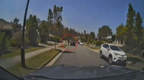 V﻿ideo has shown the moment a man fed up with Queensland's youth crime performed a citizen's arrest on a teenager who was allegedly in a stolen car a Range Rover in Gold Coast.