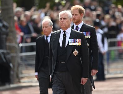 Prince Andrew, Duke of York and Prince Harry, Duke of Sussex walk behind the coffin during the procession for the Lying-in State of Queen Elizabeth II on September 14, 2022 in London, England.  