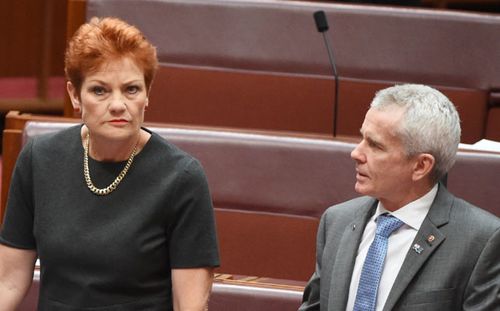 Intense lobbying behind One Nation's Trump tickets coup