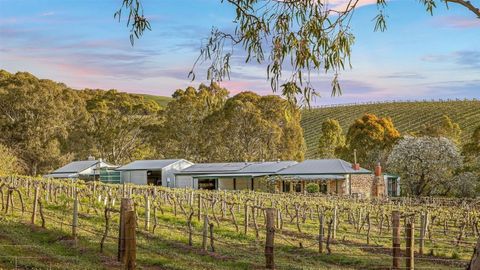 Winery Barossa Valley South Australia property real estate for sale tree change