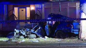 T﻿wo children have died after a crashed into a tree in Monterey in Sydney&#x27;s south.