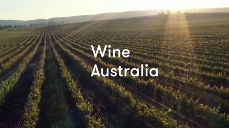 Australia’s wine industry is shrinking