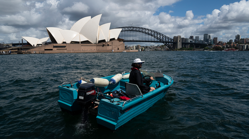 NSW Maritime is running a state wide general compliance blitz 22 and 23 January. Boating safety officers will be up and down the coast undertaking safety checks. Sydeny Harbour, January 22, 2022. Photo: Rhett Wyman/SMH