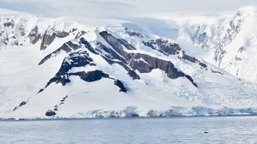 Antartica breaching humpback whale