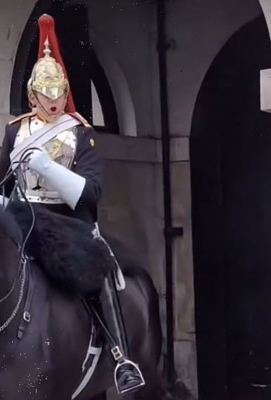 tourist yelled at by member of Queen's guard for touching horse reigns