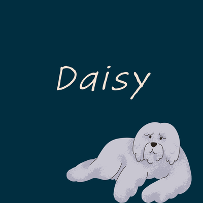 2. Daisy