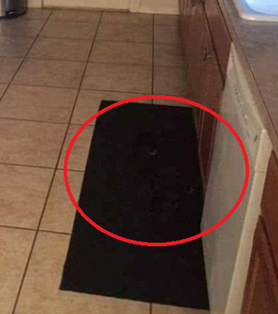 Black dog on black rug in kitchen