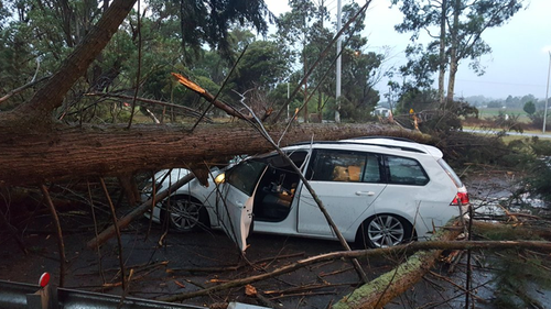 SES bombarded by 1100 calls for help after Victorian storms
